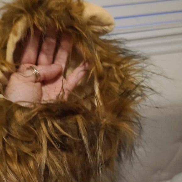 Dog Bundle - Picture 6 of 7